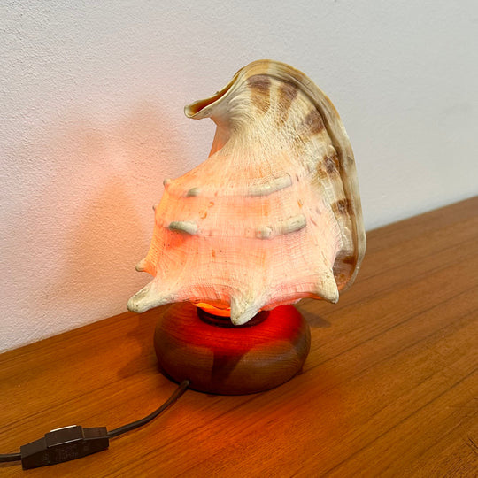 Vintage Retro Shell Conch Table Lamp