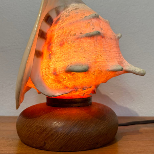 Vintage Retro Shell Conch Table Lamp