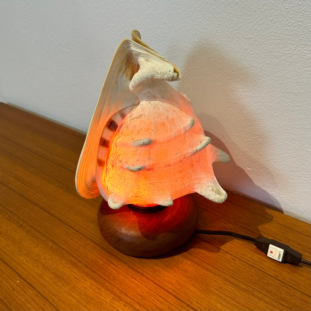 Vintage Retro Shell Conch Table Lamp