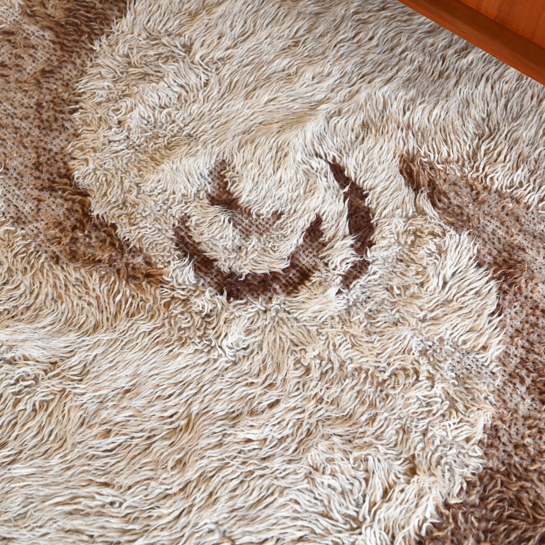 Mid Century Retro Flotaki Shag Rug